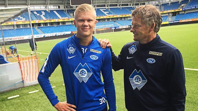 结论要点